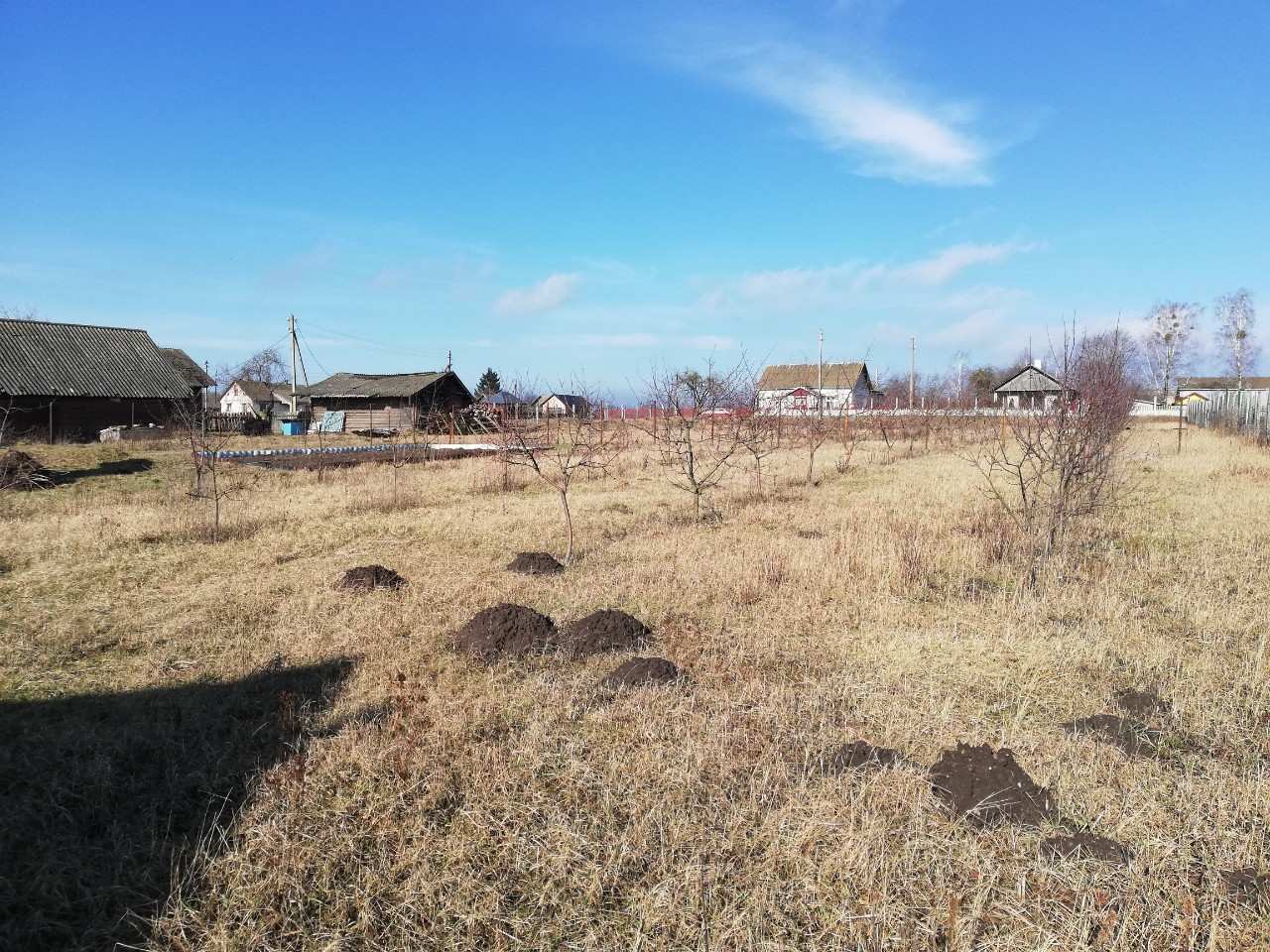 дом д. Стрельцы-1, ул. Первомайская Гродненская обл. Гродненский р-н д.  Стрельцы-1, ул. Первомайская