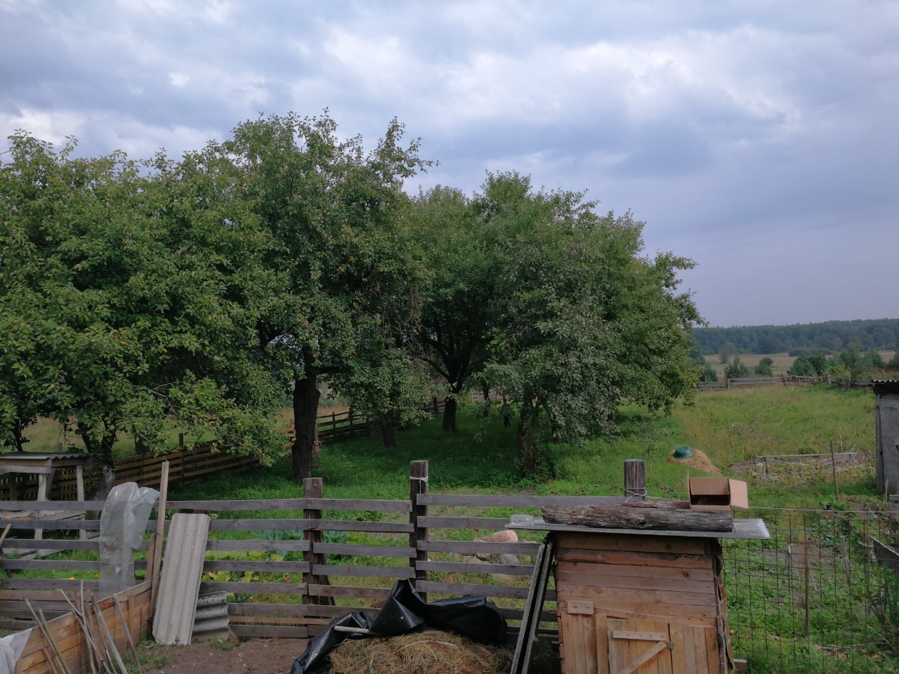 Дом в Беловежской пуще, д. Пашуки Брестская обл. Каменецкий р-н д. Пашуки  д. 36